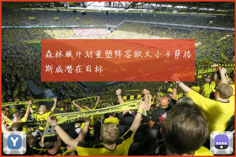 森林狼计划重塑阵容欧文小卡萨格斯成潜在目标