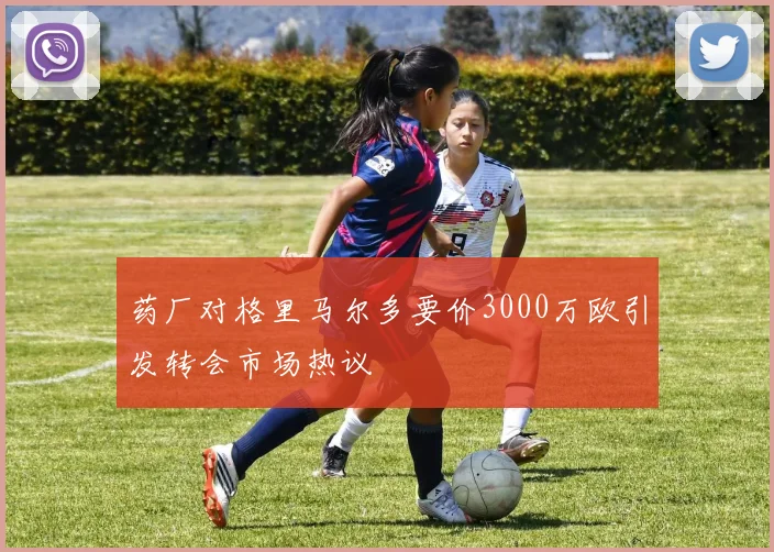 药厂对格里马尔多要价3000万欧引发转会市场热议